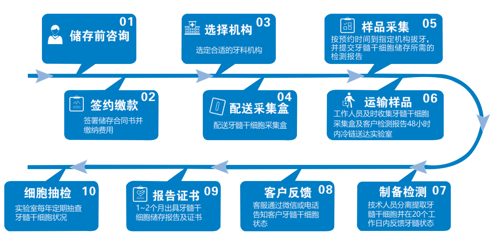 1716192274704804.png 乳牙干细胞33.png