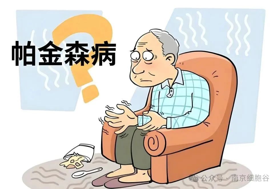 1748235838242707.jpg 4.2.jpg