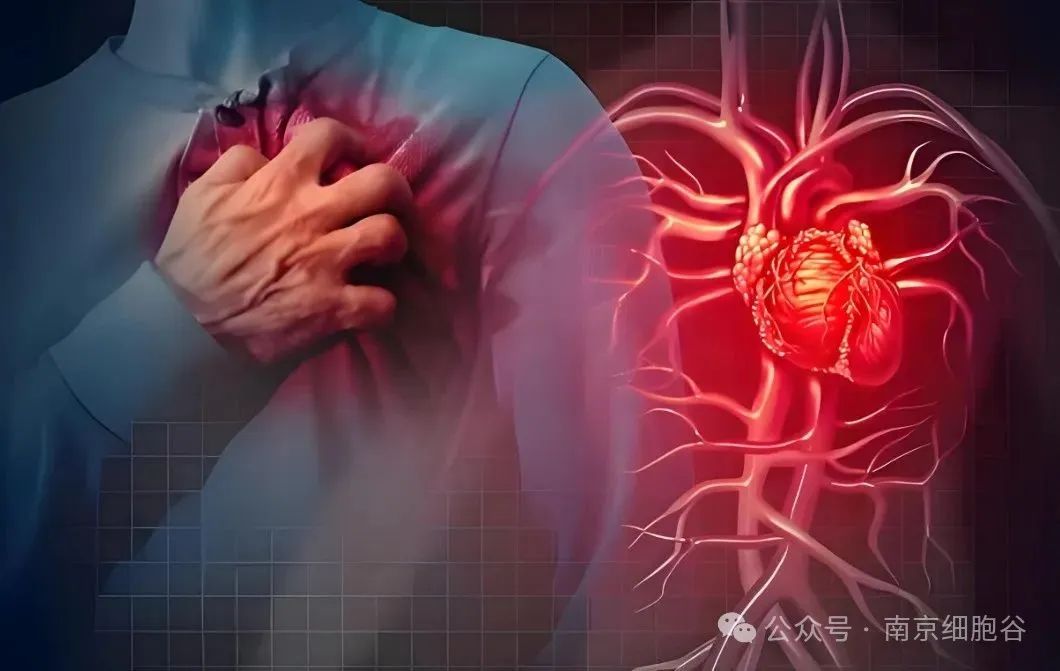 图片关键词 图片关键词