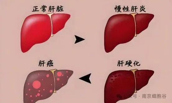 1748236102198365.jpg 4.6.jpg